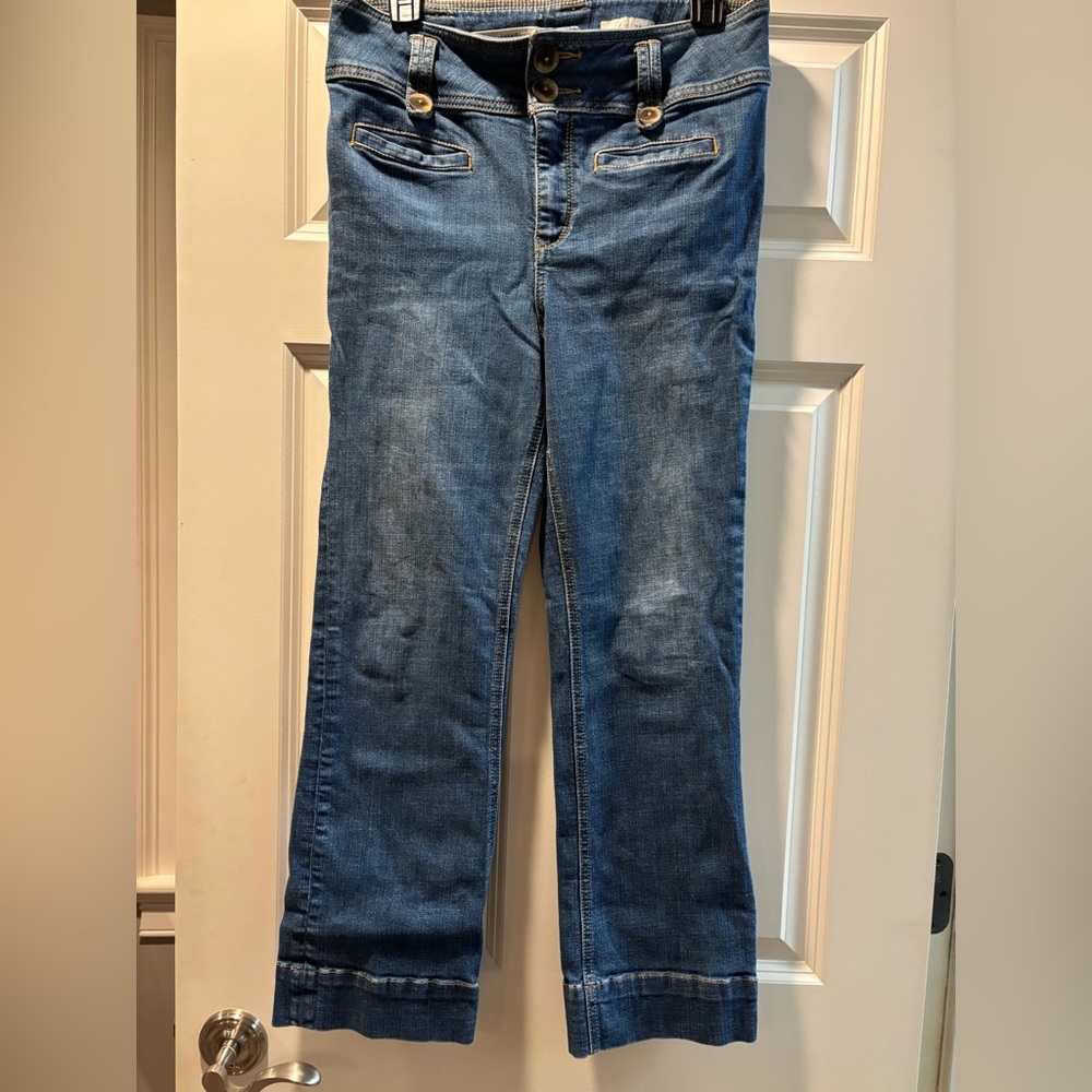 Pilcro High Rise Double Button Fly Crop Flare size 28